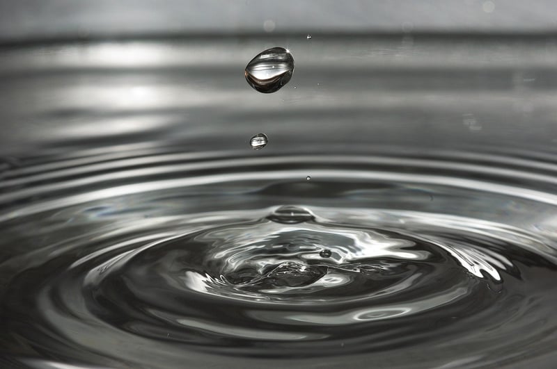 Water Filter
